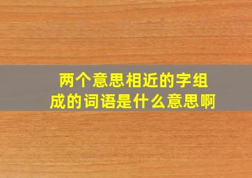 两个意思相近的字组成的词语是什么意思啊