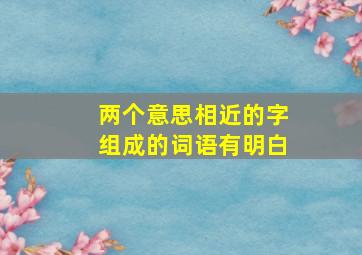 两个意思相近的字组成的词语有明白