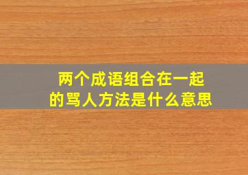 两个成语组合在一起的骂人方法是什么意思