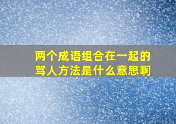 两个成语组合在一起的骂人方法是什么意思啊