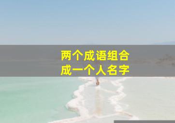 两个成语组合成一个人名字