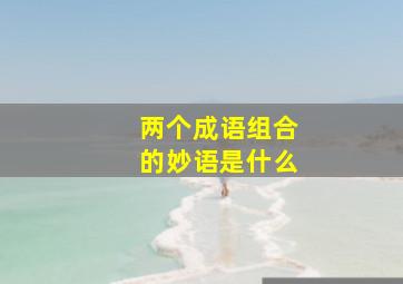 两个成语组合的妙语是什么