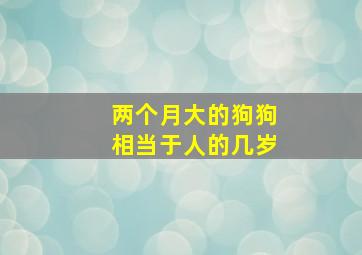 两个月大的狗狗相当于人的几岁