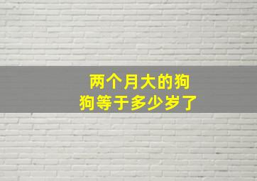 两个月大的狗狗等于多少岁了