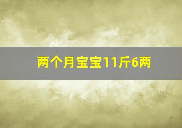 两个月宝宝11斤6两