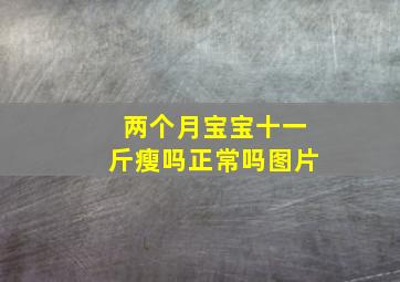 两个月宝宝十一斤瘦吗正常吗图片