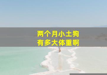 两个月小土狗有多大体重啊