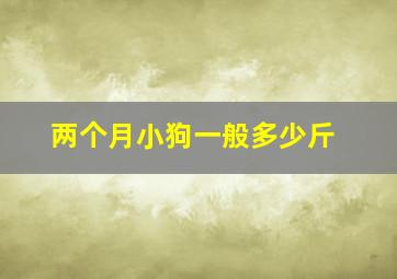 两个月小狗一般多少斤