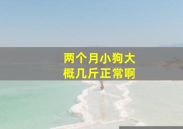 两个月小狗大概几斤正常啊