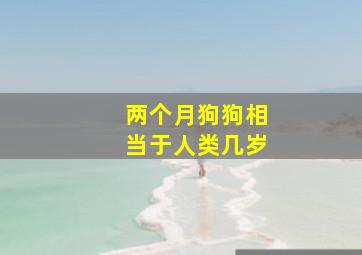 两个月狗狗相当于人类几岁