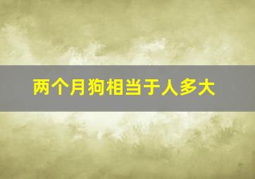 两个月狗相当于人多大