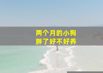 两个月的小狗胖了好不好养