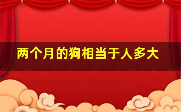 两个月的狗相当于人多大