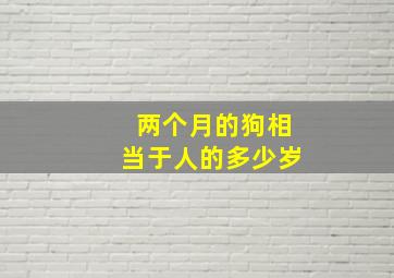 两个月的狗相当于人的多少岁