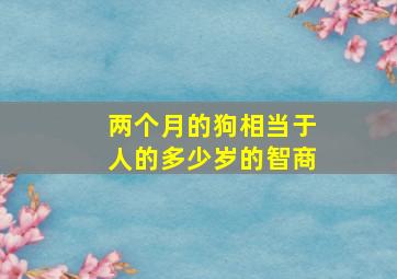 两个月的狗相当于人的多少岁的智商