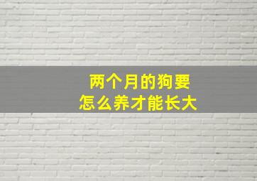 两个月的狗要怎么养才能长大