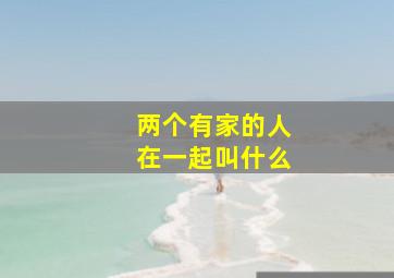 两个有家的人在一起叫什么