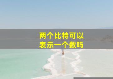 两个比特可以表示一个数吗