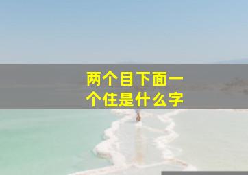 两个目下面一个住是什么字