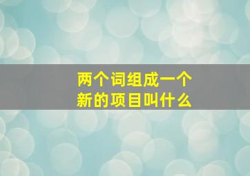 两个词组成一个新的项目叫什么