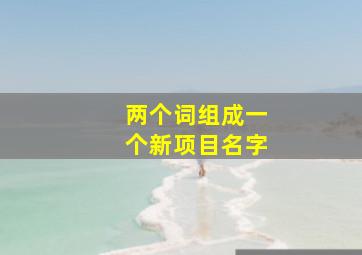 两个词组成一个新项目名字