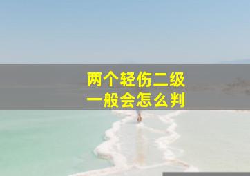 两个轻伤二级一般会怎么判