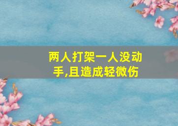 两人打架一人没动手,且造成轻微伤