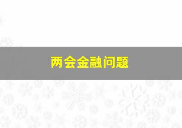 两会金融问题