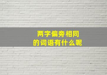 两字偏旁相同的词语有什么呢