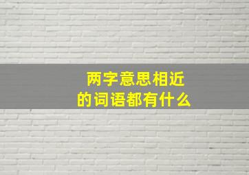 两字意思相近的词语都有什么