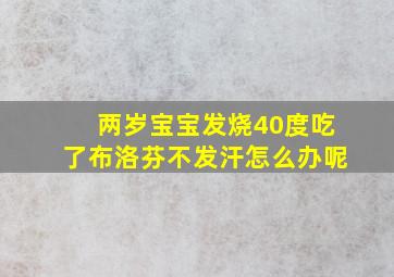 两岁宝宝发烧40度吃了布洛芬不发汗怎么办呢