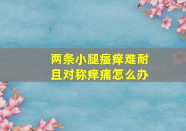 两条小腿瘙痒难耐且对称痒痛怎么办