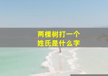 两棵树打一个姓氏是什么字