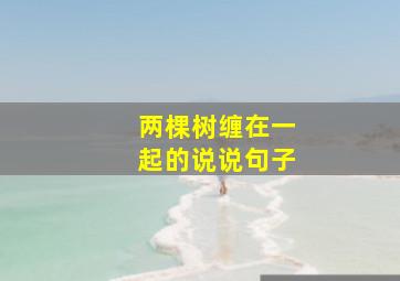 两棵树缠在一起的说说句子