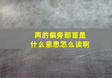 两的偏旁部首是什么意思怎么读啊