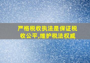 严格税收执法是保证税收公平,维护税法权威