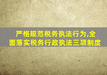 严格规范税务执法行为,全面落实税务行政执法三项制度