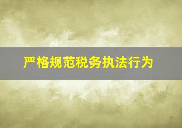 严格规范税务执法行为