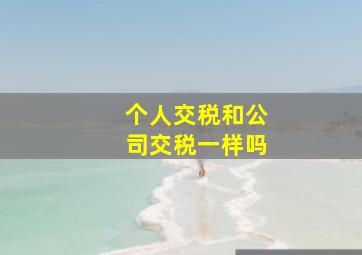 个人交税和公司交税一样吗