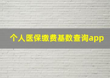 个人医保缴费基数查询app