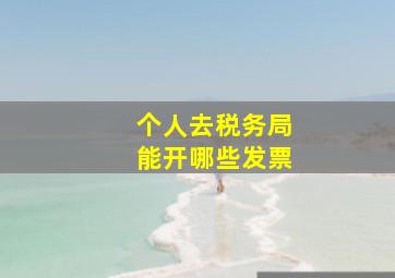 个人去税务局能开哪些发票