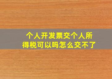 个人开发票交个人所得税可以吗怎么交不了