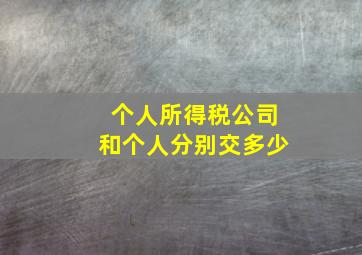 个人所得税公司和个人分别交多少