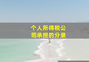 个人所得税公司承担的分录