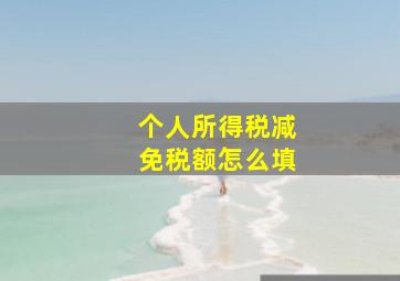 个人所得税减免税额怎么填