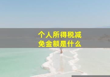 个人所得税减免金额是什么