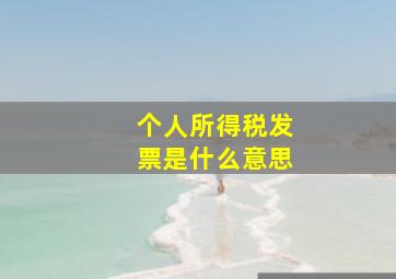 个人所得税发票是什么意思