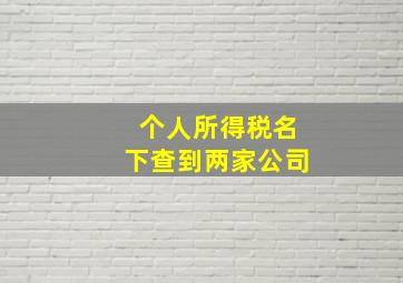 个人所得税名下查到两家公司