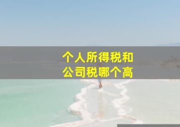 个人所得税和公司税哪个高