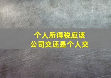 个人所得税应该公司交还是个人交